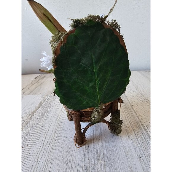 Water fairy chair wooden garden village‎ statue figurine decor flowers - Picture 3 of 8